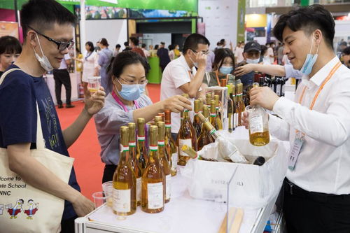外資加速流入我國攝影擴印服務領域，前五個月同比激增35.4%